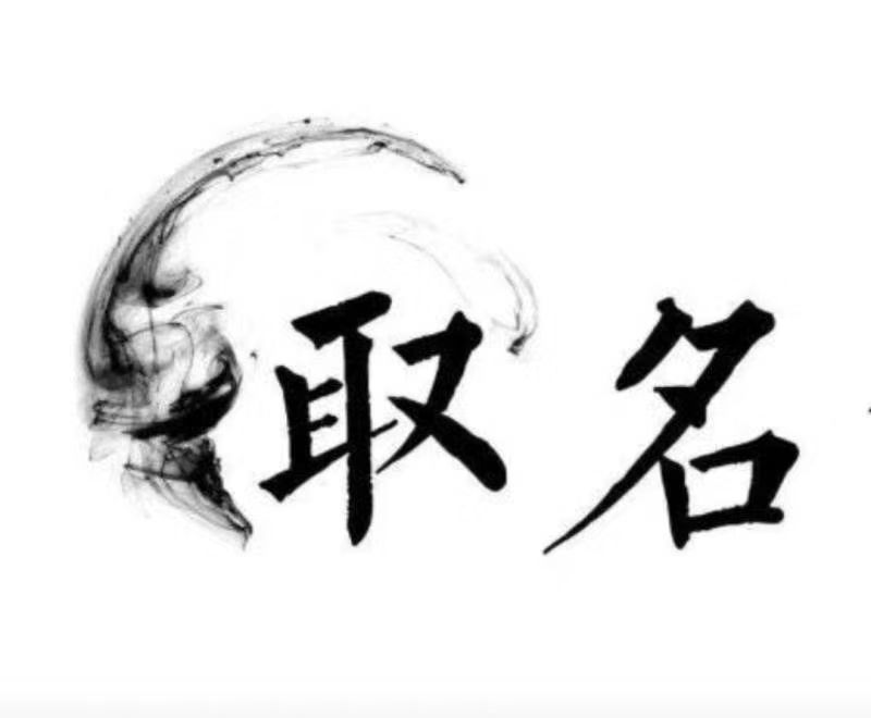  卫东宝宝取名 大师一对一人工起名